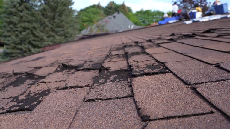 Steel Roofing in Monument Beach, MA